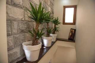 Гостевой дом Rooms & Apartments Kristina Romantica Тиват Стандартная вилла-54